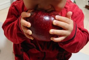 離乳食のりんご 変色が心配 パクパク食べるりんご調理のコツ Babyのための薬膳食べ物辞典